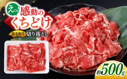 国産 黒毛和牛 熟成肉 切り落とし 500g / 小分け 国産牛 お肉 牛肉 切落し 冷凍 焼肉 すき焼き / 南島原市 / ふるさと企画 [SBA094]