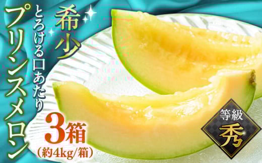 【2026年4月下旬～発送】【根強い人気！】 プリンスメロン 3箱 セット（1箱 7～13玉）  / メロン 南島原市 / 南島原果物屋 [SCV007]