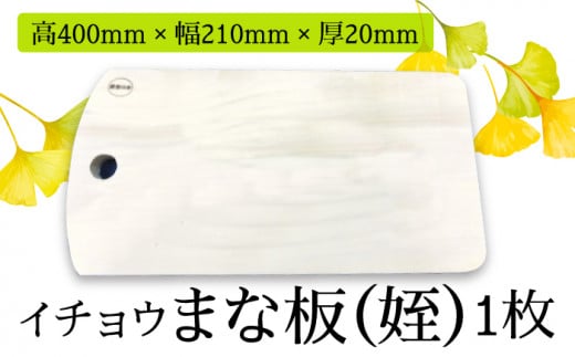 【水切りに便利な壁掛け穴】イチョウ まな板（姪） / 南島原市 / 森永材木店 [SBK009]