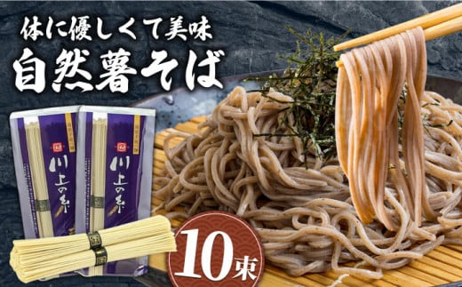 手延べ 自然薯 そば 500g（250g×2）/ 蕎麦 ソバ そば 乾麺 蕎麦 麺 自然薯 3000円 3000 / 南島原市 / 川上製麺 [SCM021]