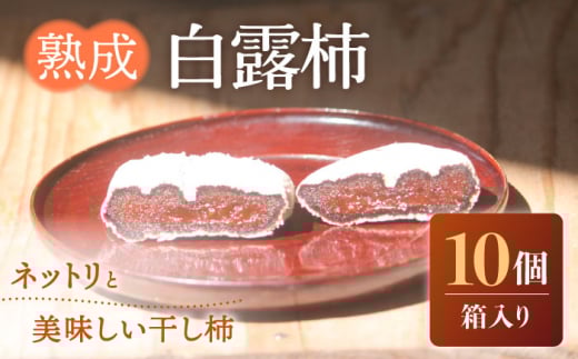 熟成白露柿 10個箱入り / 柿 かき 干し柿 ほしがき ホシガキ かき カキ カキ ほしがき / 南島原市 / 中邨 [SAG006]