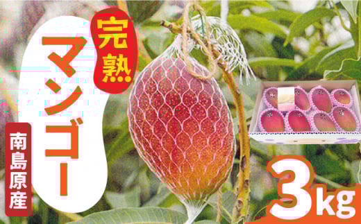 【2026年7月〜発送】南島原産 完熟マンゴー 3kg / マンゴー まんごー フルーツ 果物 完熟 期間限定 / 南島原市 / 松川農園 [SAX003]