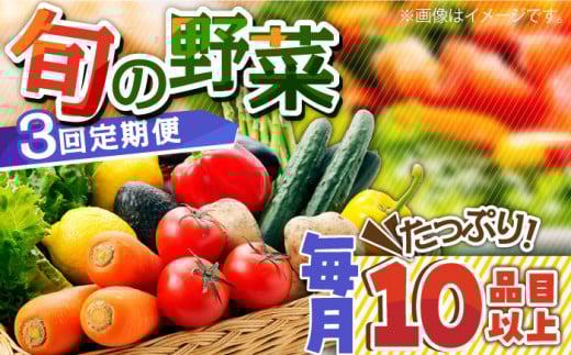 【3回定期便】地元農家さんが収穫した旬のお野菜  10種詰め合わせ / 野菜 旬 新鮮 採れたて 季節野菜 旬野菜 農家直送 野菜定期便 定期便 / 南島原市 / ミナサポ [SCW045]