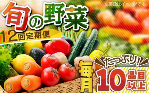 【12回定期便】地元農家さんが収穫した旬のお野菜  10種詰め合わせ / 野菜 旬 新鮮 採れたて 季節野菜 旬野菜 農家直送 野菜定期便 定期便 / 南島原市 / ミナサポ  [SCW047]