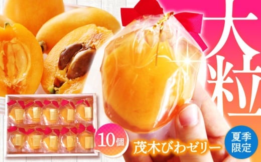 【2026年5月上旬〜発送】【夏季限定】茂木びわ ゼリー 10個入 / びわ ビワ ゼリー びわゼリー ゼリー ゼリー ぜりー ぜりー びわぜりー びわ フルーツ 果物 ギフト 贈答 お中元 / 南島原市 / 本田屋かすてら本舗 [SAW040]