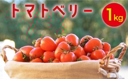 【2025年12月～発送】トマトベリー 1kg / ミニトマト トマト トマトベリー とまと 野菜 サラダ プチトマト / 南島原市 / 長崎県農産品流通合同会社 [SCB029]