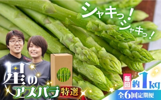 【6回定期便】【星のアスパラ】春＆夏 の グリーン アスパラガス 約1kg / アスパラ 春野菜 野菜 / 南島原市 / ほしのYA [SEY011]