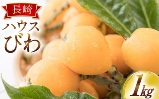 【2026年4月中旬～発送】長崎ハウス びわ 約1kg (250グラム×4パック) / フルーツ びわ ビワ 枇杷 柑橘 / 南島原市 / 長崎県農産品流通合同会社 [SCB089]