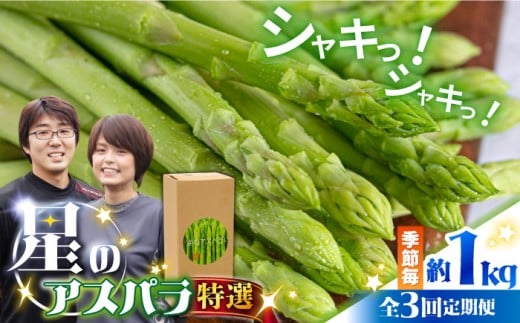 【3回定期便】【星のアスパラ】春・夏・秋 の グリーン アスパラガス 約1kg / アスパラ 野菜 / 南島原市 / ほしのYA [SEY013]