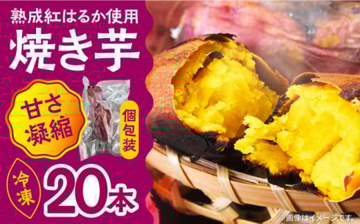 【数量限定】【ねっとり甘い熟成サツマイモ】冷凍焼き芋（紅はるか） 20本(S～M) / さつまいも やき芋 冷凍 小分け 個包装 冷やし焼き芋 / 南島原市 / 池田海陸物産 [SEW001]