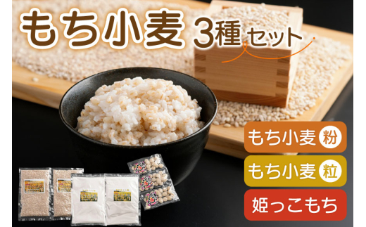 もち小麦 詰め合わせ セット もち姫(粒) 300g 2袋 もち姫(粉) 500g 2袋 姫っこもち 200g 3袋 [アグリの里おいらせ 青森県 おいらせ町 oi02ayo590008] 小麦 もち 餅 モチ もち麦