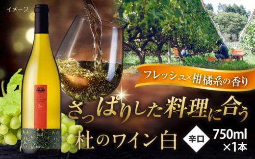 奥出雲葡萄園 杜のワイン白   国産 ワイン セット 島根県雲南市/有限会社奥出雲葡萄園 [AICS051]