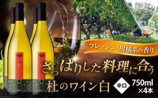 奥出雲葡萄園 杜のワイン白　4本セット   国産 ワイン セット 島根県雲南市/有限会社奥出雲葡萄園 [AICS061]