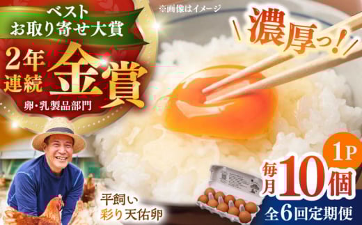 【平飼い卵】【全6回定期便】黄身の濃厚なコクと白身の甘み！たたらの里平飼い 彩り天佑卵 10個入り（10個×1P）たまご 卵 放牧卵 玉子 タマゴ 鶏卵 生卵 国産 平飼い 放し飼い 卵焼き 卵かけご飯  朝食 朝ごはん ご褒美 コク 旨み 贅沢 お取り寄せ 毎日食べたい卵 美容 健康 定期便 人気 高評価 ランキング 島根県雲南市/株式会社たなべたたらの里（たなべ森の鶏舎） [AIDL008]