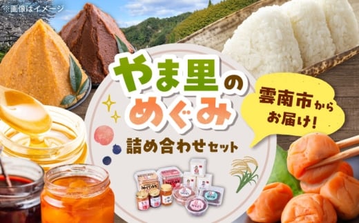 ３種の米を食べ比べ! 「やま里の恵み」詰合セット 米 こしひかり つや姫 きぬむすめ 梅 味噌 ジャム はちみつ 島根県雲南市/農事組合法人フレッシュファーム神代 [AICC002]