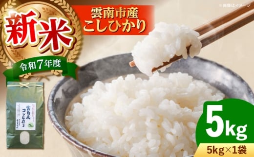 【新米】雲南市産コシヒカリ 5kg 島根県雲南市/有限会社藤本米穀店 ｜こしひかり 白米 精米 コメ 5キロ [AIDB105]