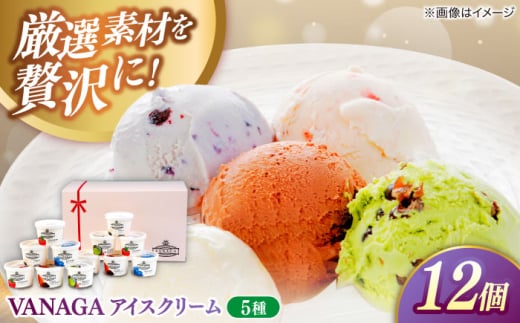 ご褒美アイスにぴったり！VANAGA 5種類のアイスクリーム12個入 アイス バニラ ストロベリー 抹茶あずき ビターチョコ ブルーベリー デザート スイーツ ギフト 島根県雲南市/木次乳業有限会社 [AIBH008]
