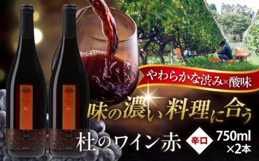 奥出雲葡萄園 杜のワイン赤 2本セット  ワイン お酒 ギフト 国産 熟成ワイン 熟成 酒 赤 赤ワイン 辛口 果実酒 お祝 贈答用 アルコール フルボトル 飲料 島根県雲南市/有限会社奥出雲葡萄園 [AICS060]