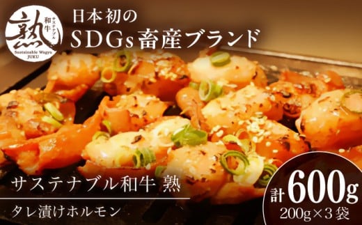 サステナブル和牛 熟 タレ漬けホルモン3P 200g×3袋 計600g | 牛肉 和牛 黒毛和牛 熟成 タレ漬け セット 冷凍 小分け バーベキュー 国産 島根県雲南市/株式会社熟豊ファーム [AIAT004]