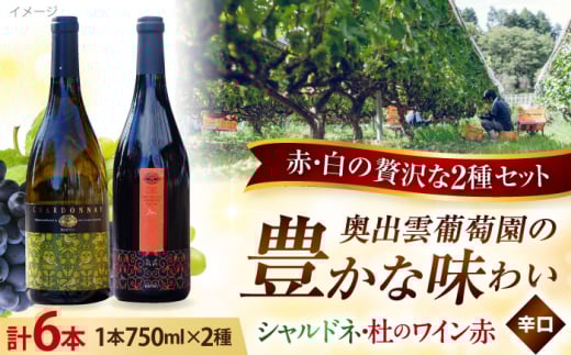 奥出雲葡萄園 シャルドネ3本・杜のワイン赤3本 ワイン お酒 ギフト 国産 熟成ワイン 熟成 酒 赤 赤ワイン 白 白ワイン 辛口 果実酒 お祝 贈答用 アルコール フルボトル 飲料 島根県雲南市/有限会社奥出雲葡萄園 [AICS007]
