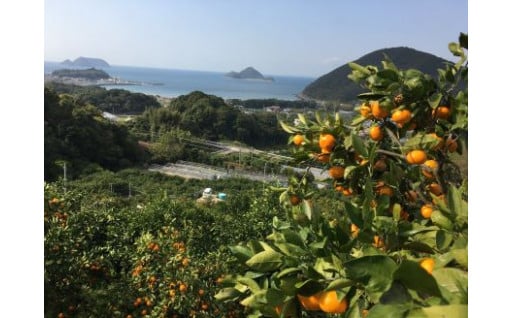 ②快適で便利なまちづくりに関する事業