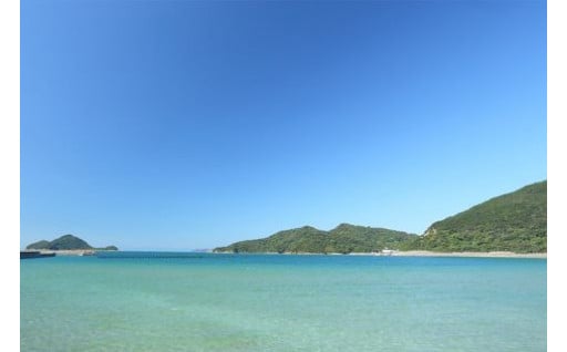 ③健康と福祉のまちづくりに関する事業