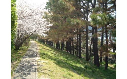 ⑦日本遺産を活用したまちづくりに関する事業