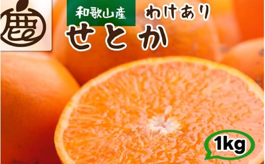 家庭用 せとか 1kg+250g(痛み補償分) 光センサー / 訳あり 甘い 和歌山 柑橘 ※2月上旬~4月上旬頃に順次発送 ※北海道・沖縄・離島への配送不可 【ikd014-c-1A】