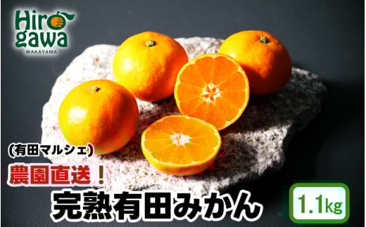 農園直送! 完熟有田みかん 1.1kg+200g(傷み補償分) [11月発送予定] 秀・優混合 SSサイズ〜Lサイズ混合 ※北海道・沖縄・離島への配送不可 / 和歌山 有田みかん ミカン オレンジ 甘い フルーツ 果物 産地直送 [ard004-noen-1d1-11]