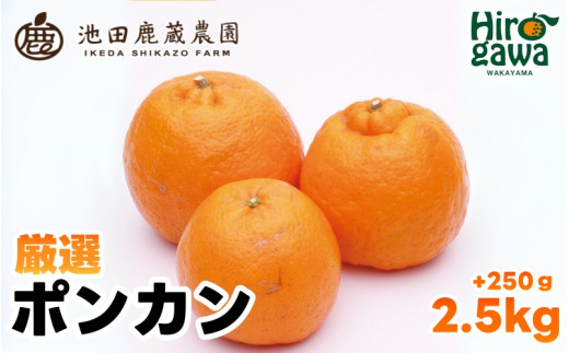 厳選 ポンカン 2.5kg+250g（痛み補償分） 光センサー 食頃出荷