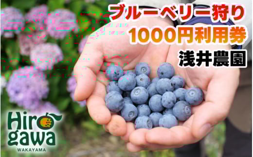 ブルーベリー 狩り 1000円×4枚 利用券 ※6月上旬～7月下旬 開催！ 食べ放題 時間無制限 で約10品種の食べ比べをお楽しみください♪ / ハイブッシュ ラビットアイ ファミリー カップル 女性 におすすめ♪【asa911-cp4】