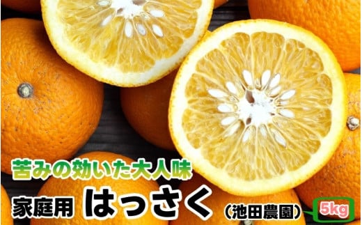 はっさく 5kg+250g(痛み補償分) 家庭用 光センサー / 八朔 訳あり 甘い 和歌山 有田 柑橘 ※1月上旬〜4月上旬頃に順次発送予定 ※北海道・沖縄・離島への配送不可 【ikd021-c-5】