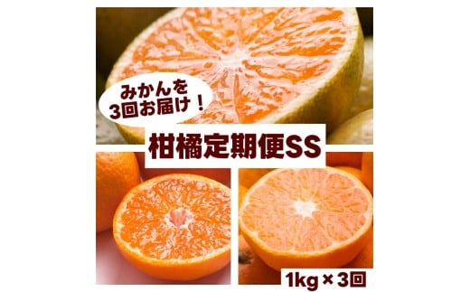 柑橘 定期便 SS【全3回】家庭用【 和歌山県 有田 】 ※北海道・沖縄・離島への配送不可 / 定期便 フルーツ ゆら早生みかん 有田みかん 3回