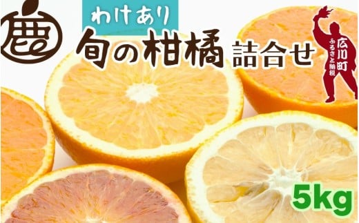 柑橘 詰合せ 5kg+250g 訳あり 光センサー / みかん 不知火 清見 八朔 伊予間 セミノール レモン 3種類以上 詰め合わせ 晩柑 ※1月上旬〜6月上旬に順次発送 ※北海道・沖縄・離島への配送不可【ikd049-c-5B】