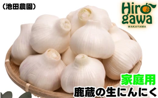 生 にんにく 2g 家庭用 / 生にんにく 国産 訳あり  ※5月上旬~5月下旬に順次発送 ※北海道・沖縄・離島への配送不可【ikd403-c-2】