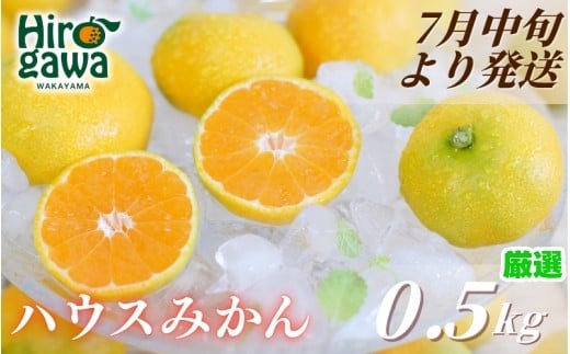 ハウスみかん 0.5kg+250g(傷み補償) 厳選/ 温室みかん 有田みかん 甘い 訳あり 和歌山 柑橘 ※7月中旬〜8月中旬に順次発送 ※北海道・沖縄・離島への配送不可 [ikd002-p-0d5]