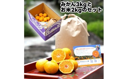 ▼由良早生みかん 3kg(サイズ混合)+米2kg(キヌヒカリ精米) ※11月上旬〜順次発送予定 [tkn004-r-3setA]