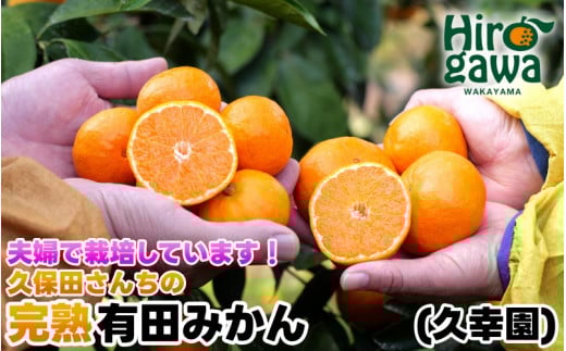 完熟 有田 みかん サイズ混合 10kg 久幸園 / 温州みかん 有田みかん 甘い 家庭用 和歌山 柑橘 ※11月〜順次発送予定 【hsk004-r-10B】