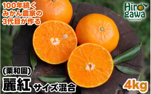 麗紅 ( れいこう ) 4kg / オレンジ 甘い 和歌山 有田 柑橘 ※2月中旬〜3月下旬に順次発送 【krw012-r-4】