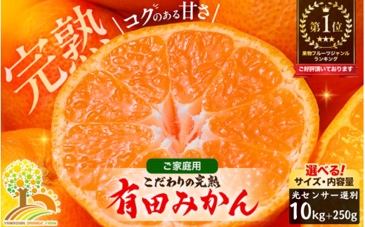 有田 みかん 訳あり 10kg 光センサー 選別 / 温州みかん 有田みかん 甘い 家庭用 和歌山 柑橘 ※12月順次発送 ※北海道・沖縄・離島への配送不可【nuk004-c-10-decF】