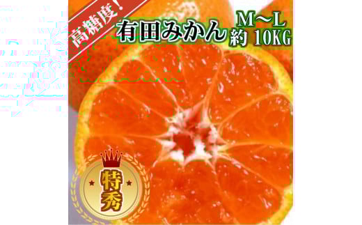 高糖度 有田みかん 特秀品 10kg M~Lサイズ ※10月上旬~12月下旬頃発送予定 【ngt004-p-10ml】
