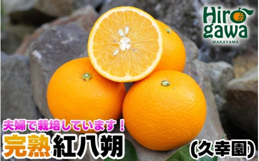 完熟 紅八朔 5kg 久幸園 / はっさく 甘い  和歌山 柑橘 ※3月中旬~4月中旬頃に順次発送予定 【hsk022-beni-5】
