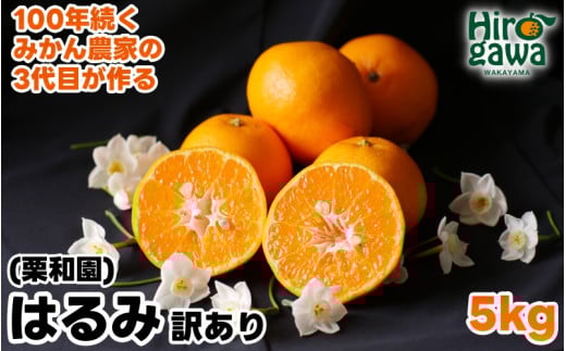 はるみ 5kg 家庭用 / 訳あり 甘い 和歌山 柑橘 ※2月中旬〜3月下旬に順次発送【krw013-c-5】