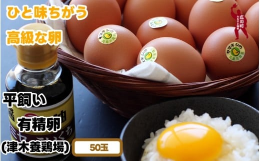 平飼い!高級 有精卵 50個入り(Lサイズ) / 玉子 たまご 高級 平飼い 贈答 【ymg609-p-50】