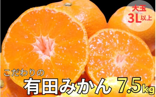 有田 みかん 大玉3L以上 7.5kg 光センサー / 温州みかん 有田みかん 甘い 和歌山 柑橘  ※11月中旬~12月下旬に順次発送 ※北海道・沖縄・離島地域は発送不可 【nuk004-l-7d5C】