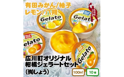 広川町 オリジナル 柑橘 ジェラート セット / アイス ジェラート みかん 旬 蜜柑 ミカン 柑橘 果物 フルーツ 和歌山県 広川町[sho115-hiro-10]