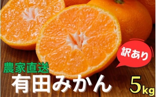 農家直送 有田 みかん 訳あり 5kg 光センサー 選別 / 温州みかん 有田みかん 甘い 家庭用 和歌山 柑橘 ※11月中旬~1月中旬に順次発送 ※北海道・沖縄・離島への配送不可 【nuk004-noka-c5C】