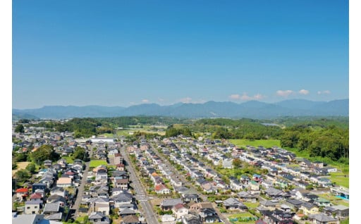 １．町長におまかせで応援(指定なし)　