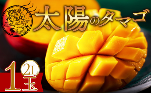 期間限定 【先行予約 2026年発送】<宮崎県産 太陽のタマゴ 2L×1個>2026年5月初旬~7月末迄に順次出荷【選べる 完熟マンゴー 糖度15度 内容量 数量 サイズ 大きさ 濃厚 フルーツ 果物 トロピカル 甘い ジューシー 果汁 とろける 芳醇 香り 贅沢 ぜいたく プチご褒美 ごほうび 】