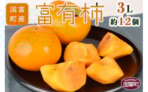 数量限定!予約受付!<国富町産 富有柿 3L×約12個>2025年11月中旬から12月中旬頃に順次出荷